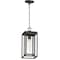 Maxim Lighting Cabana 1-Light Outdoor Hanging Pendant 3039CDBK - alternate 1